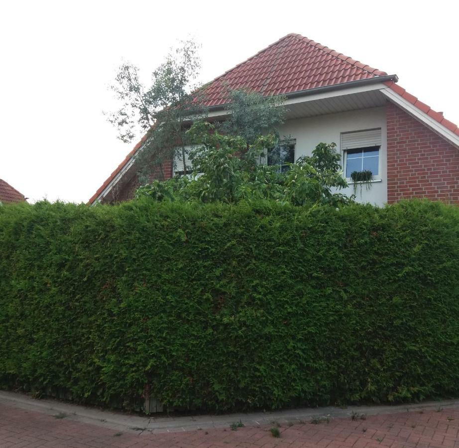 Ruhiges Zimmer Direkt An Den Leineauen 黑明根 外观 照片
